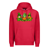 Cardinal st patricks day gnomes with western hearts and shamrocks Premium Hoodie - Artiststas