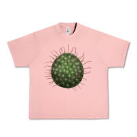 Salmon Arizona Fishhook Cactus Urban Heavy Tee - LillyAllenDesigns