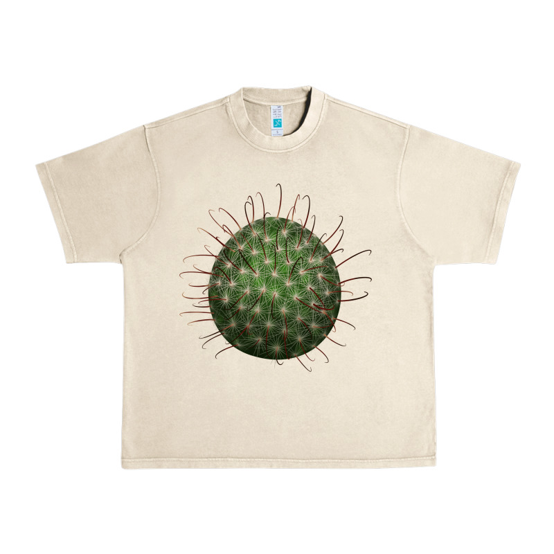 Arizona Fishhook Cactus Urban Heavy Tee by LillyAllenDesigns | Teevron