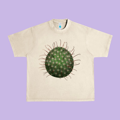 Arizona Fishhook Cactus Urban Heavy Tee Designed By Lillyallendesigns