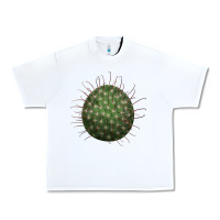 White Arizona Fishhook Cactus Urban Heavy Tee - LillyAllenDesigns