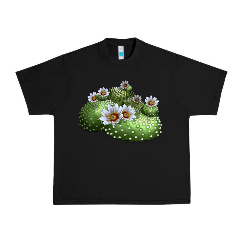 Blossfeldia Cactus Urban Heavy Tee by LillyAllenDesigns | Teevron