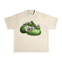 Sandshell Blossfeldia Cactus Urban Heavy Tee - LillyAllenDesigns