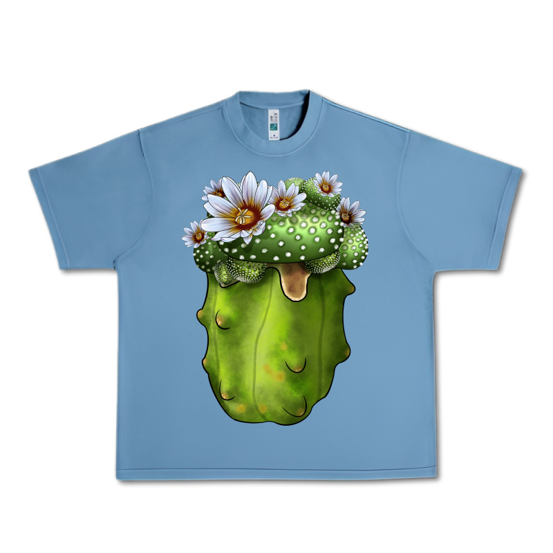 Blossfeldia Cactus Urban Heavy Tee by LillyAllenDesigns | Teevron