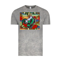 Cloud Rock flamenco dancer tumbler Vintage Tee - BundleAndBundleShop