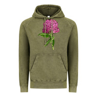 Vintage Olive Red Clover Illustrations Vintage Hoodie - LillyAllenDesigns
