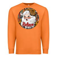 Carrot believe Santa Claus Christmas Premium Sweatshirt - Jasminsmagicworld