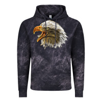Cloud Black Bald Head Eagle Vintage Hoodie - LillyAllenDesigns