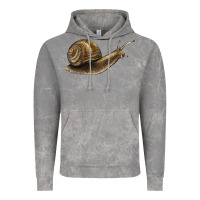 Cloud Rock snail Vintage Hoodie - LillyAllenDesigns