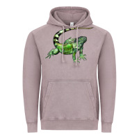 Vintage Zinc İguana Vintage Hoodie - LillyAllenDesigns