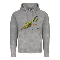 Cloud Rock mantis Vintage Hoodie - LillyAllenDesigns