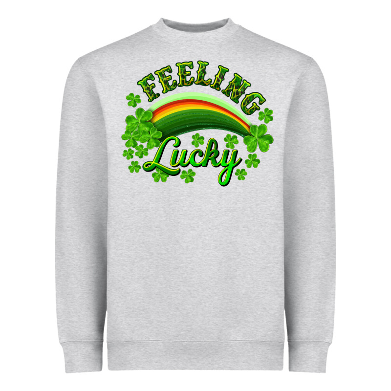Feeling Lucky With Rainbow Heavyweight Sweatshirt by RanaPortraitStore | Teevron