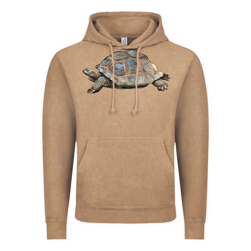 Tortoise Illustrations Vintage Hoodie by LillyAllenDesigns | Teevron