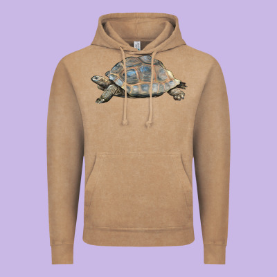 Tortoise Illustrations Vintage Hoodie Designed By Lillyallendesigns