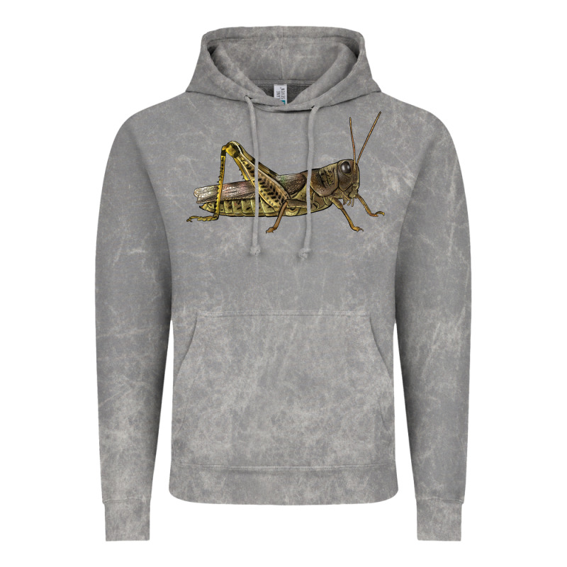Grasshopper Vintage Hoodie by LillyAllenDesigns | Teevron