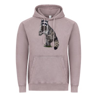 Vintage Zinc Raccoon Illustrations Vintage Hoodie - LillyAllenDesigns