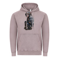 Vintage Zinc Chimpanzee Illustrations Vintage Hoodie - LillyAllenDesigns