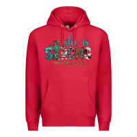 Cardinal she is strong Premium Hoodie - Artiststas