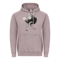 Vintage Zinc Ostrich Vintage Hoodie - LillyAllenDesigns
