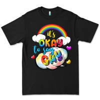 Its Okay To Say Gay Pride Premium Tee | Teevron