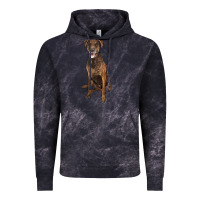 Cloud Black plott hound Vintage Hoodie - LillyAllenDesigns