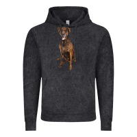 Vintage Black plott hound Vintage Hoodie - LillyAllenDesigns