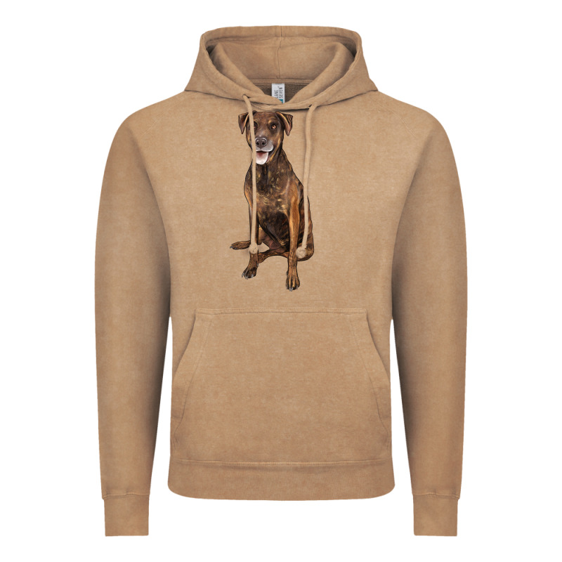 Plott Hound Vintage Hoodie by LillyAllenDesigns | Teevron