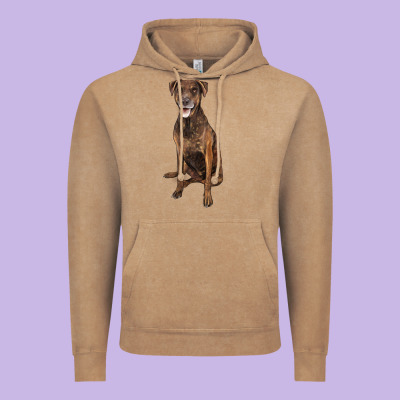 Plott Hound Vintage Hoodie Designed By Lillyallendesigns