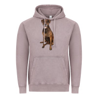 Vintage Zinc plott hound Vintage Hoodie - LillyAllenDesigns