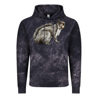 Cloud Black Gray Squirrel Vintage Hoodie - LillyAllenDesigns