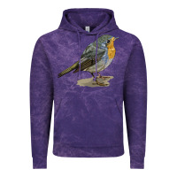 Cloud Purple yellow breast Vintage Hoodie - LillyAllenDesigns