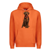 Carrot chocolate lab labrador retriever Premium Hoodie - Artiststas