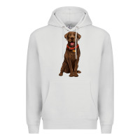 Dove Grey chocolate lab labrador retriever Premium Hoodie - Artiststas