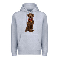 Heather Grey chocolate lab labrador retriever Premium Hoodie - Artiststas