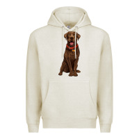 Oatmeal Heather chocolate lab labrador retriever Premium Hoodie - Artiststas