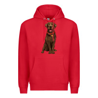 Red chocolate lab labrador retriever Premium Hoodie - Artiststas