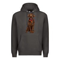 Smoke chocolate lab labrador retriever Premium Hoodie - Artiststas