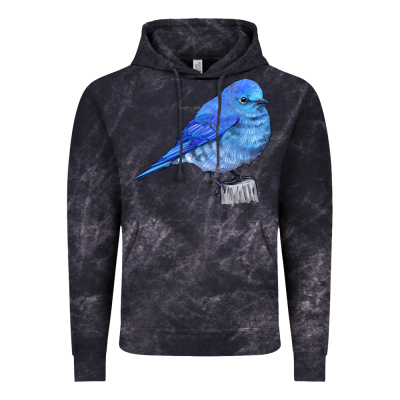 Mountain Bluebird Vintage Hoodie by LillyAllenDesigns | Teevron