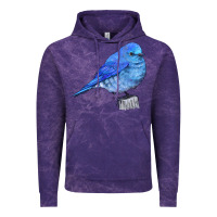 Cloud Purple Mountain Bluebird Vintage Hoodie - LillyAllenDesigns