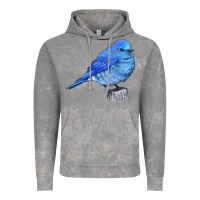 Cloud Rock Mountain Bluebird Vintage Hoodie - LillyAllenDesigns