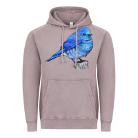 Vintage Zinc Mountain Bluebird Vintage Hoodie - LillyAllenDesigns