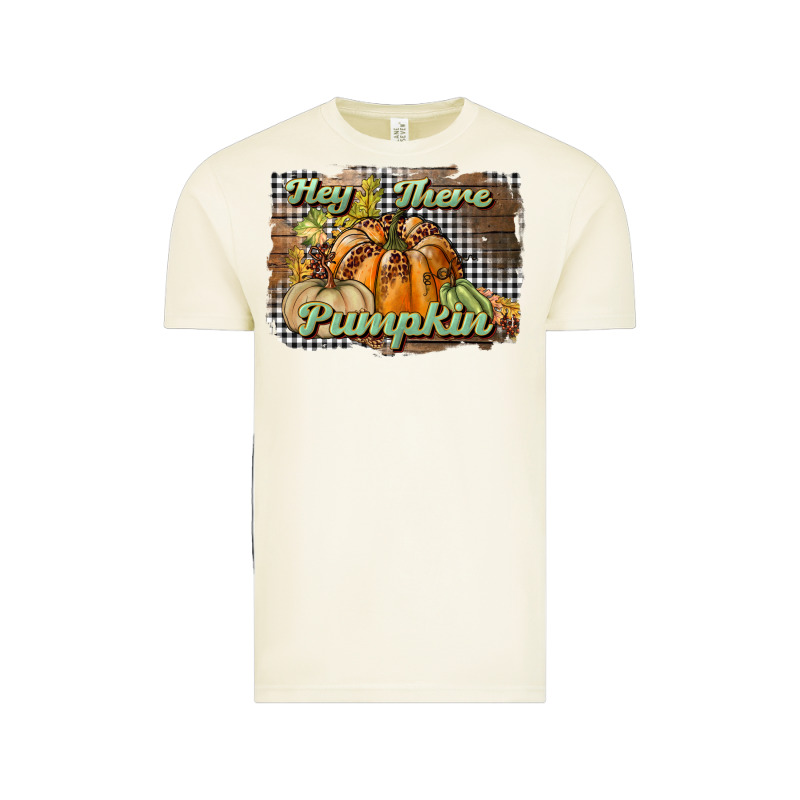 Hey There Pumpkin Vintage Tee by BundleAndBundleShop | Teevron