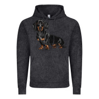 Vintage Black Dachshund Dog Illustrations Vintage Hoodie - LillyAllenDesigns