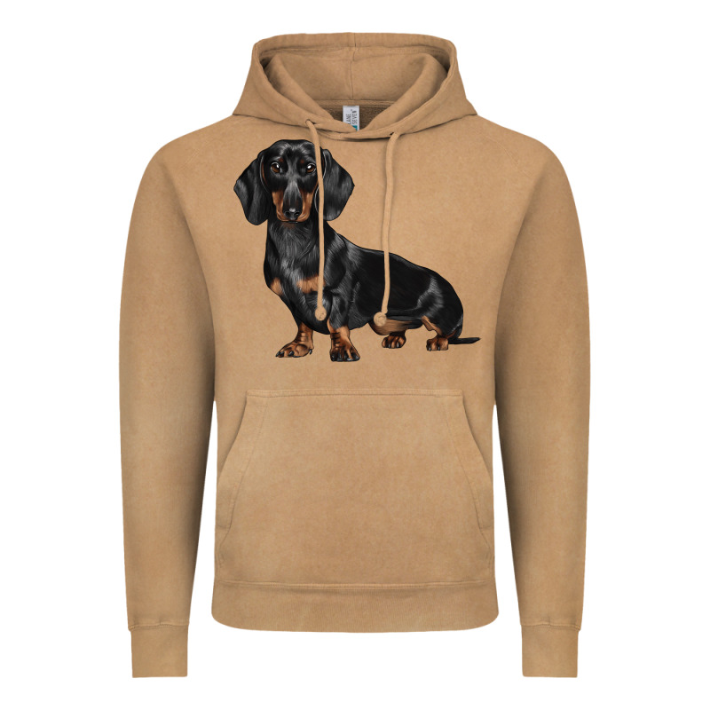 Dachshund Dog Illustrations Vintage Hoodie by LillyAllenDesigns | Teevron
