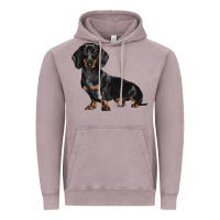 Vintage Zinc Dachshund Dog Illustrations Vintage Hoodie - LillyAllenDesigns