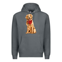 Rock golden retriever Premium Hoodie - Artiststas