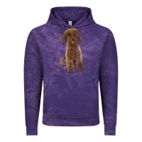 Cloud Purple Poodles Dog lllustrations Vintage Hoodie - LillyAllenDesigns