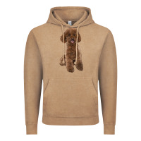 Vintage Coffee Poodles Dog lllustrations Vintage Hoodie - LillyAllenDesigns