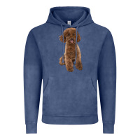 Vintage Denim Poodles Dog lllustrations Vintage Hoodie - LillyAllenDesigns