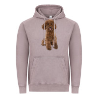 Poodles Dog Lllustrations Vintage Hoodie | Teevron